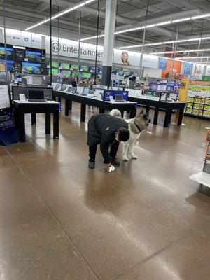 Big dog takes a crap inside the store