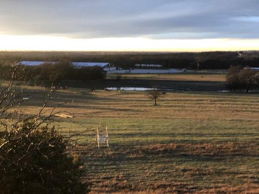 Store patio view