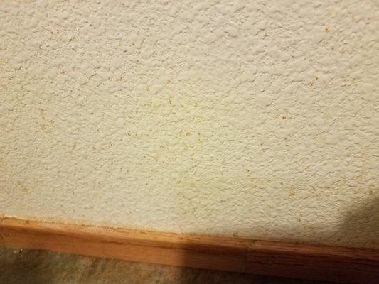 Grime/grease left on walls above counters