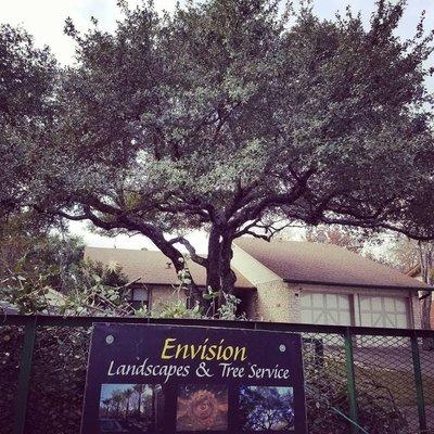 Envision Landscapes & Tree Service