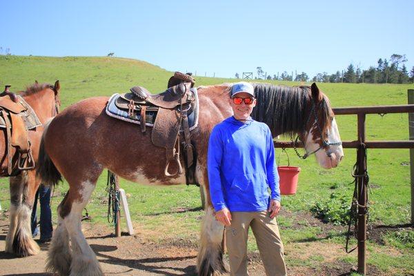 Covells Clydesdale Ranch