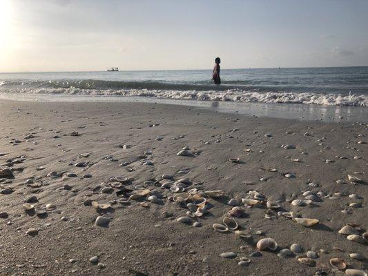 Sanibel Island Beach