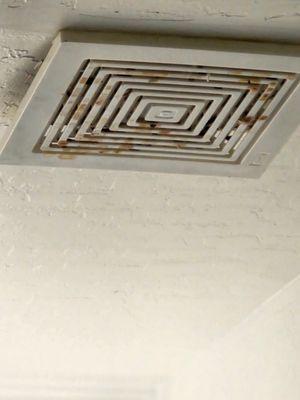 The air vent where the mouse/rat waste is coming from.