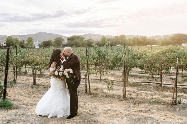 Love the sunlight in this vineyard shot!