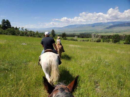 Views of Paradise Valley