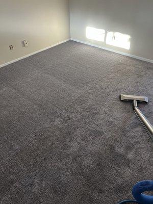 Mike's on the Spot Carpet Cleaning