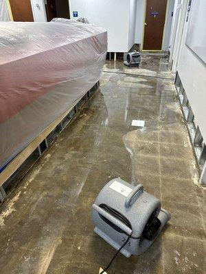 water extraction and water damage