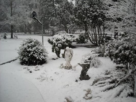 Started snowing at 7 this morning and still coming down strong at 9 am.