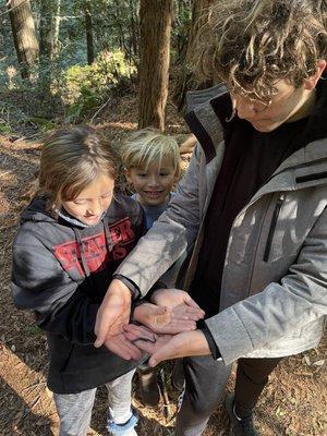 Kids found (and released) a slender salamander