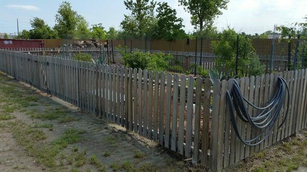 Community garden area