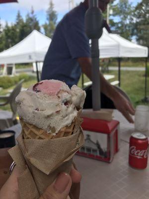 Cranberry mint ice cream!!!