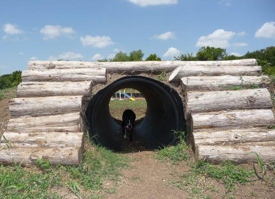 a tunnel to explore