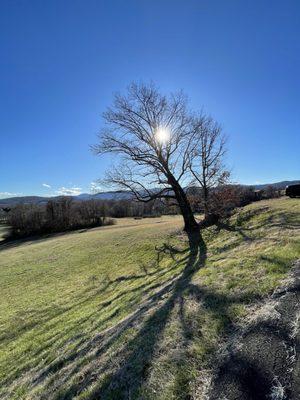 The afternoon sun in the Shenandoah at the Little Washington Winery.