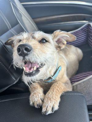 Not the best pic showing his haircut but he is obviously very happy with it!