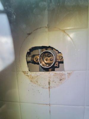 Shower rebuild