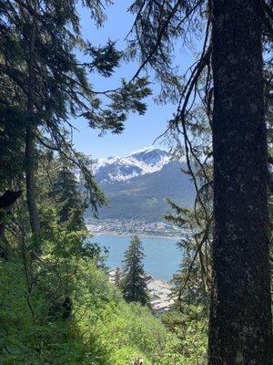 View from the trail