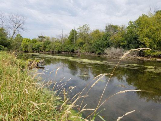 Gentle flow of a river.