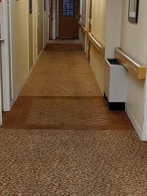 Photo of entrance to hallway on unit before carpet cleaning.