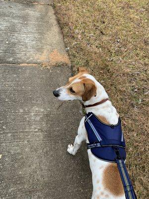 Armand Bayou Hike and Bike Trail