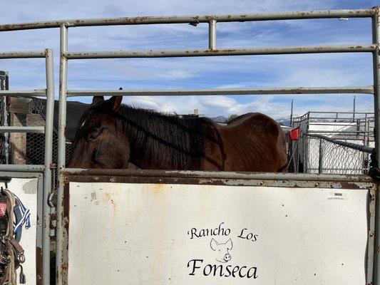 Rancho Los Fonseca