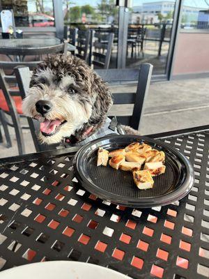 Chicken for my pup