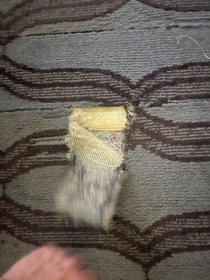 Ripped carpet, room was in Poor condition