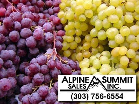 Alpine Summit Sales, Inc. - 11170 East 47th Avenue - Denver, CO, 80239 - (303) 756-6554 - http://www.alpinesummit.com/