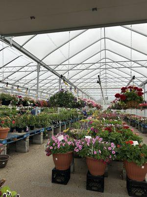 Garden center