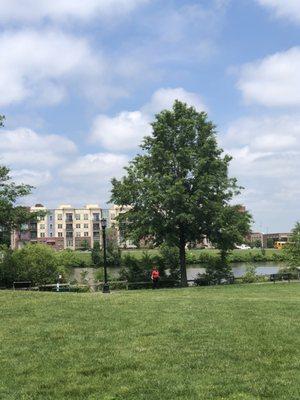 View of the grassy park from the entrance.