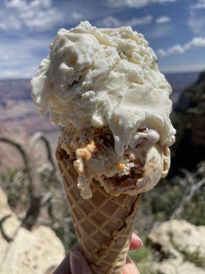 Double Scoop Ice Cream (Butter Pecan and Butterfinger)