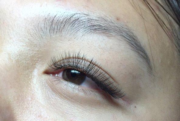 Hybrid Full Set (Blend of Classic/Volume Lash Extension)