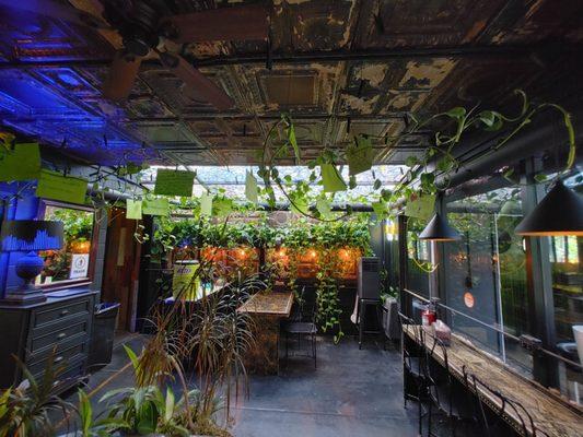 Interior, with an eastern European dance party greenhouse patio vibe, which is exactly what you're looking for!