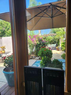 Enjoying the outside Infrared sauna with this view of the Hawaiian themed garden. Ahhhh...