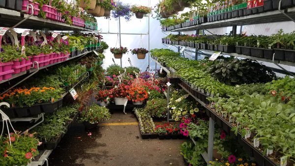 Come to our award winning Garden Center in May and June to find beautiful flowers or hearty vegetables for your garden.