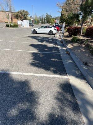 Tesla at charging station