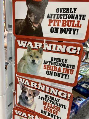 A cute overly affectionate Shiba Inu warning.