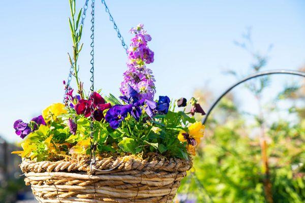 Custom Hanging Baskets