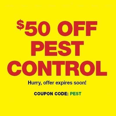 Save $50 on our most popular quarterly pest program