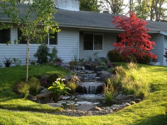 Front yard water feature.