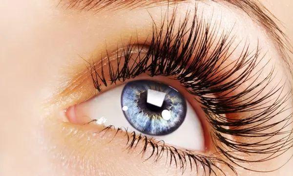 Bright eye starry-eyed look
Classic full wet set
Eyelash extensions