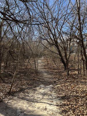 North trail at the edge of the preserve