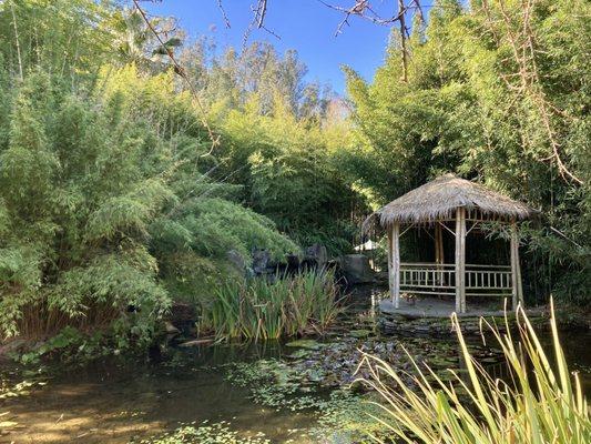 The gazebo & pond