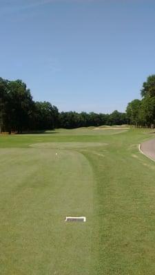 Pic of the first hole, a fair fairway.