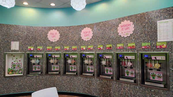 Great selection of frozen yogurt