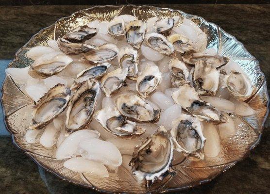 2 Dozens of "Oyster Shooters" after shucking