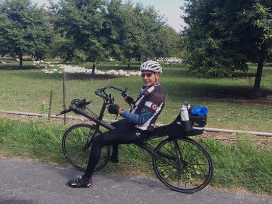 Dr. Steinberg riding his recumbent bike