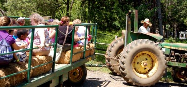 Hay rides are always fun..