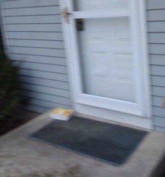 The dashers picture. A bare box on my stoop. No bag, napkins. Missing 2 ordered items (dipping sauce and drink).