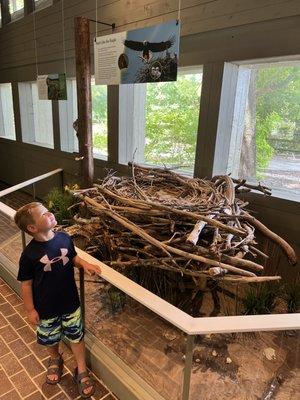 Visitor center