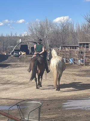 Horse riding